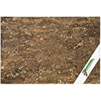 Kork-Deko Pared Posterior XL de Corcho (Pared Posterior de terrario)- Pared Posterior de Corcho 3D- Fondo Terrario de…